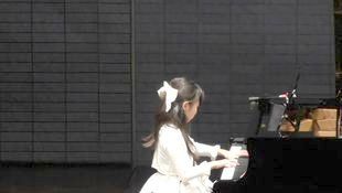 写真11